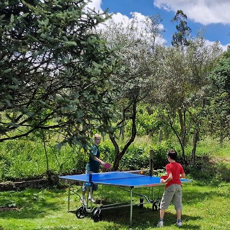 Dream Corner By Waterfalls, 20 Min To Oporto, By Porto With Love Lda Parada  Extérieur photo