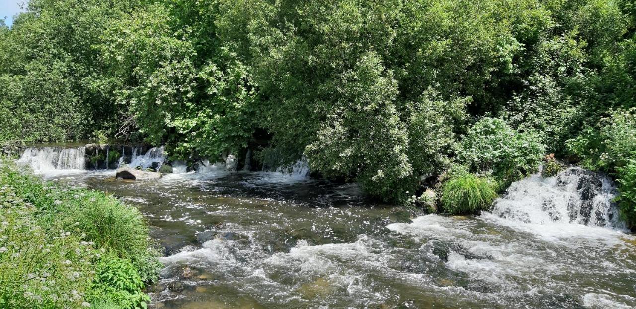 Dream Corner By Waterfalls, 20 Min To Oporto, By Porto With Love Lda Parada  Extérieur photo
