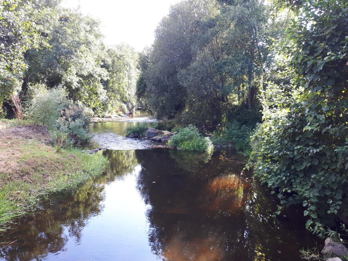 Dream Corner By Waterfalls, 20 Min To Oporto, By Porto With Love Lda Parada  Extérieur photo